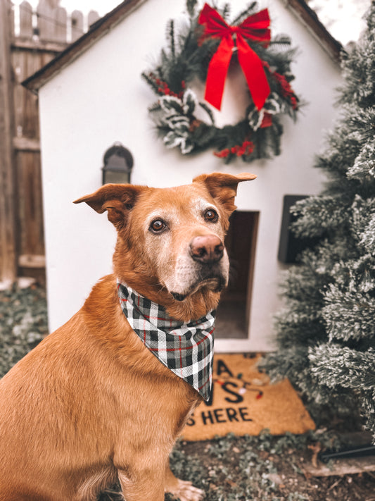 Holiday Flannel Bandana (Reversible)