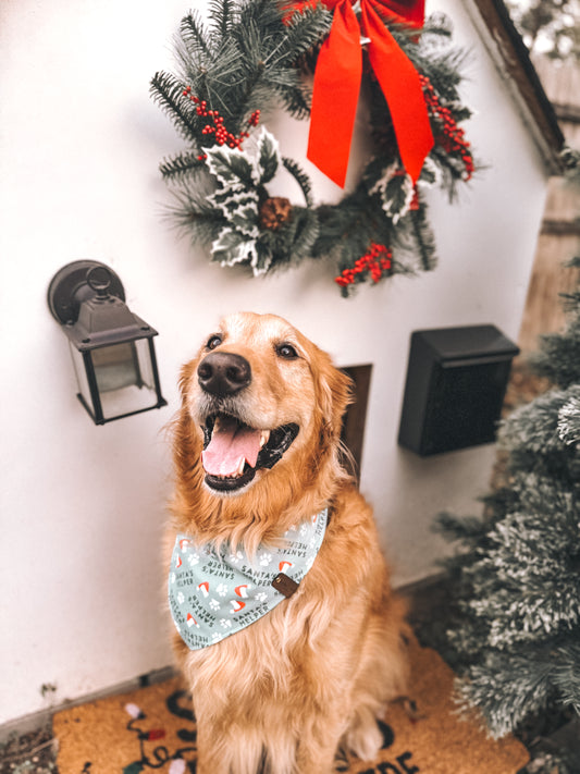 Santa's Helper Bandana (Reversible)